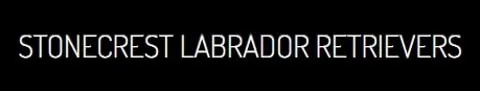 stonecrest labrador logo