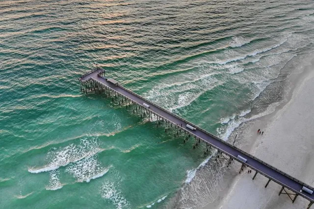 Are Dogs Allowed on Panama City Beach? Local Rules Explained
