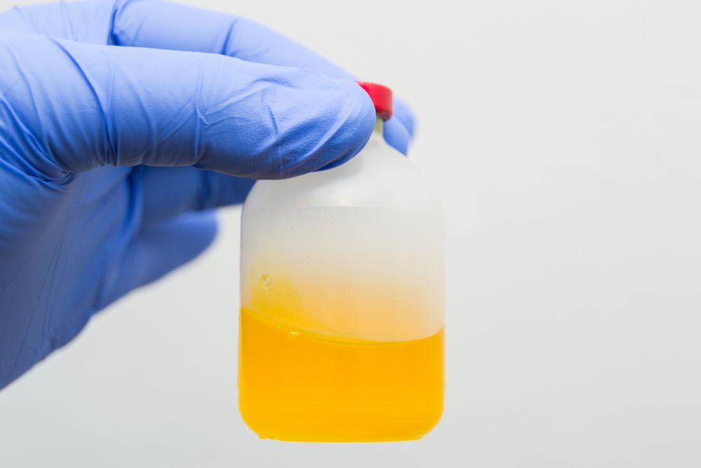 acepromazine solution in the vial_Todorean