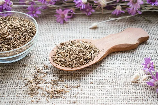 Valerian Root for Dogs: Info, Usage & FAQ (Vet Answer)