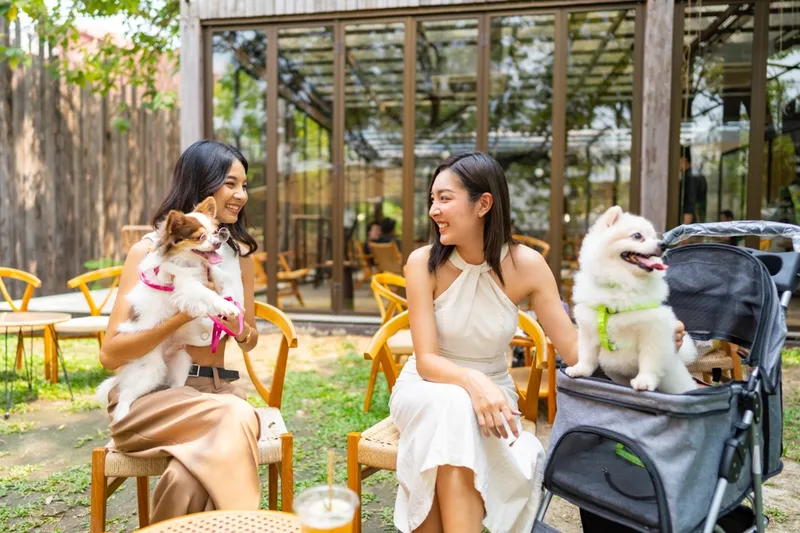 asian women hanging out with their pet dogs