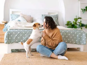 Do Dogs Know When You’re Having Intercourse? Facts & Explanation
