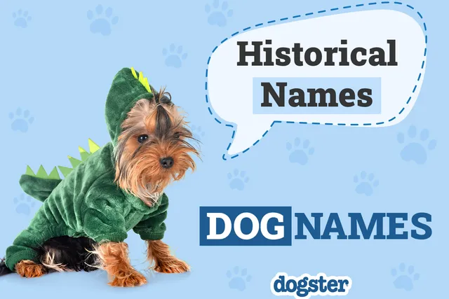 70 Historical Dog Names Inspired by Ancient Figures
