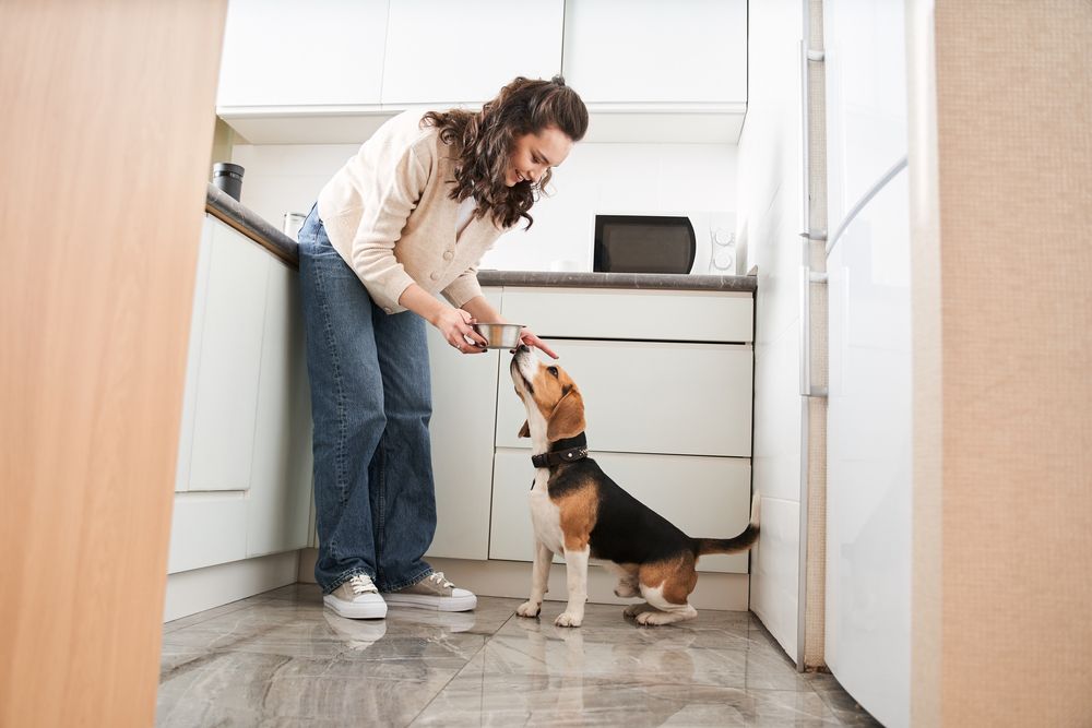 woman-feeding-her-dog