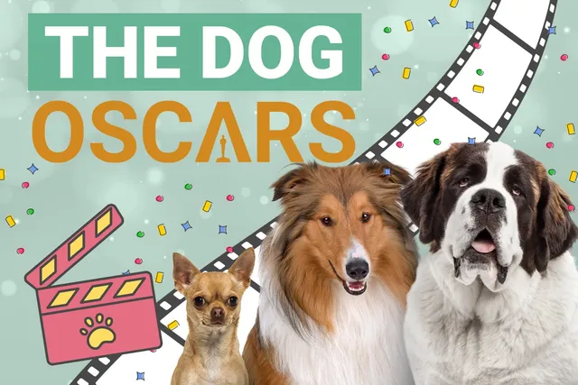 The Dog Oscars: Presenting Hollywood’s Top Dog Movies, Actors & Franchises
