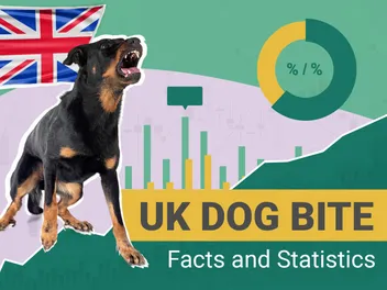 14 Surprising UK Dog Bite Statistics to Know in 2026
