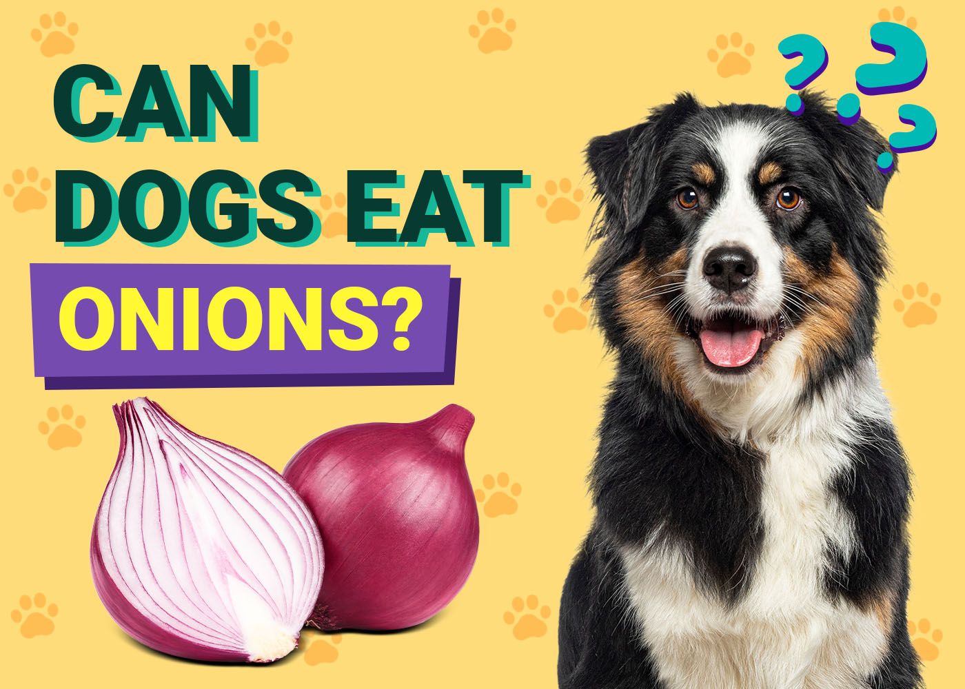 Can Dogs Eat Onions