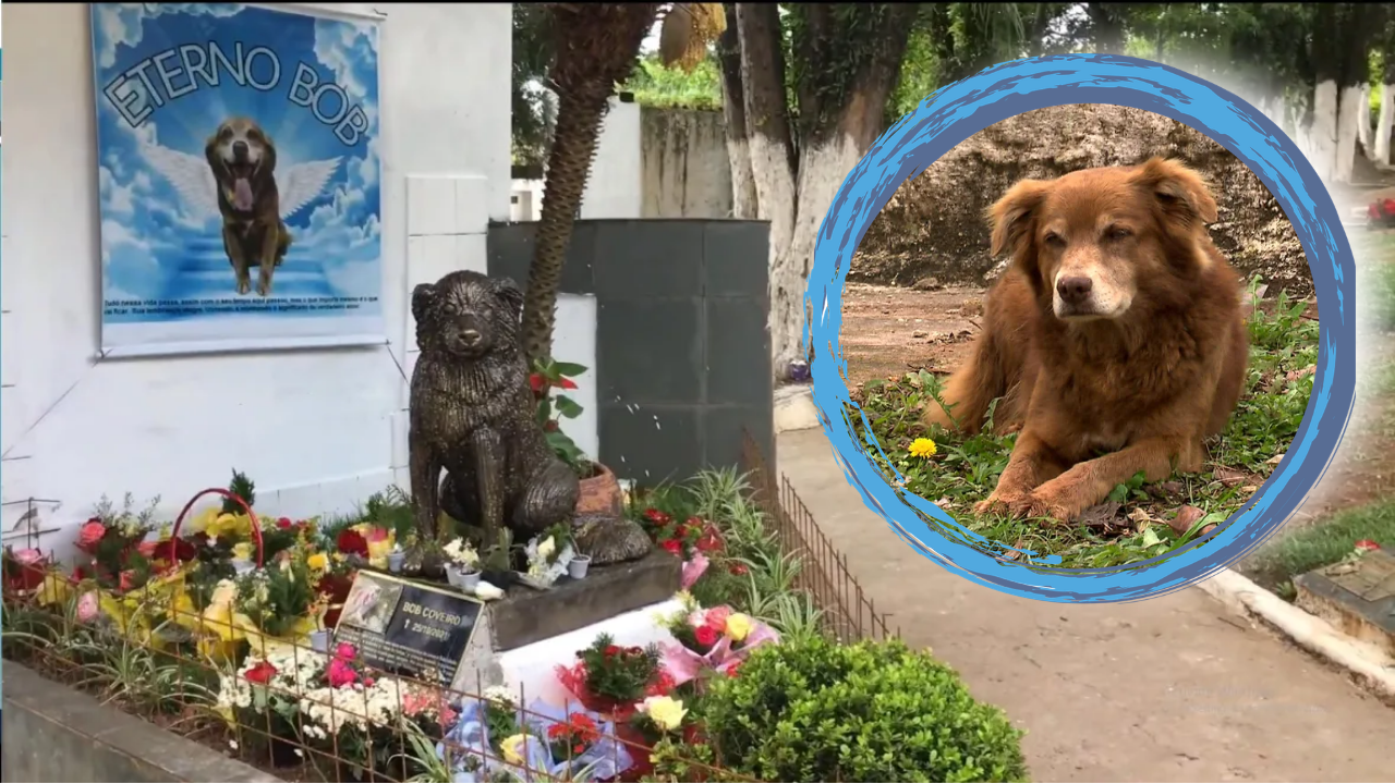 Memorial statue and portrait of Bob the graveyard dog surrounded by flowers