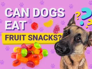 Can Dogs Eat Fruit Snacks? Vet-Verified Nutrition Info & Risks