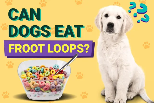 Can Dogs Eat Froot Loops? Vet-Reviewed Nutrition Facts