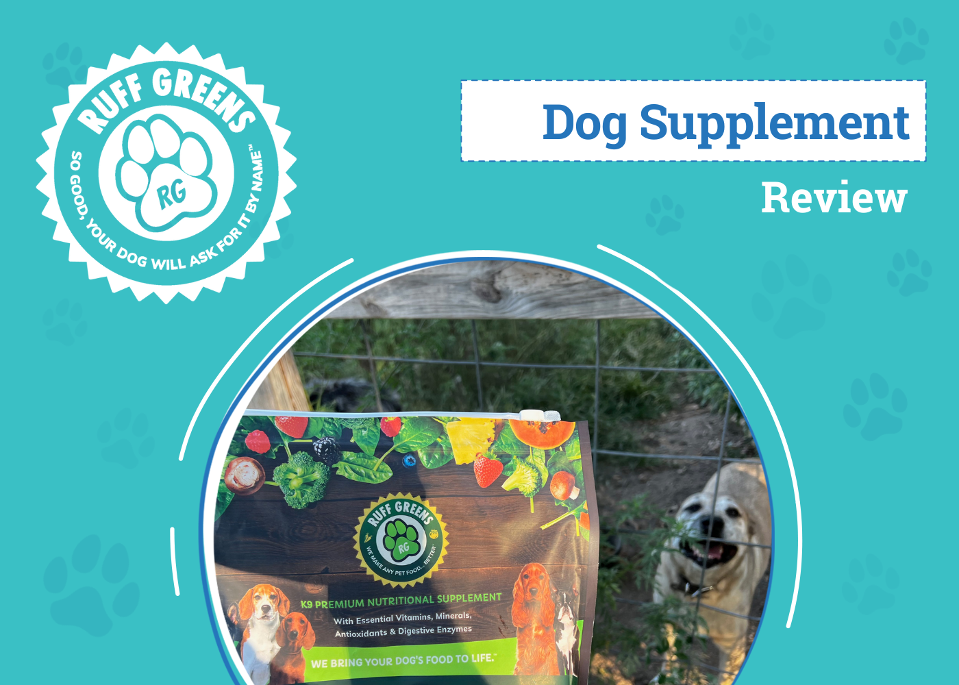 DOG_SAPR_Ruff Greens Dog Supplement