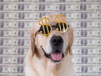 10 Richest Dogs on Earth (With Pictures)