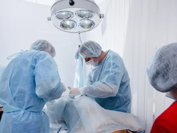 How Much Does a Dog Cesarean Section Cost? (2026 Price Guide)