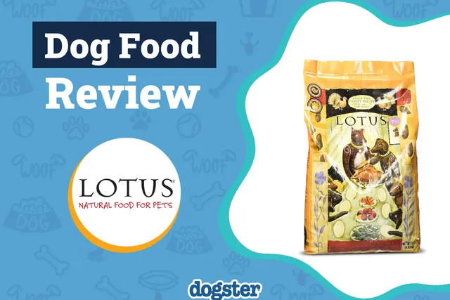 Lotus Dog Food Review 2026: Recalls, Pros & Cons