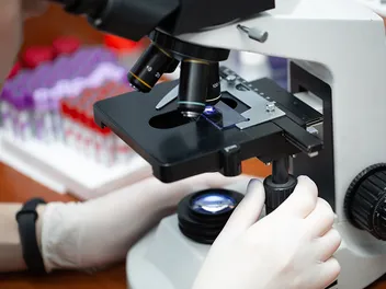 CBC Blood Test for Dogs: Our Vet Explains Why It’s Done & the Process