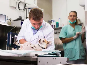 The Algorithm in the Exam Room: Who’s To Blame When AI Misdiagnosis Turns Deadly?