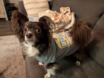 Penny’s Fourth Birthday Celebration: Gifts, Treats & More