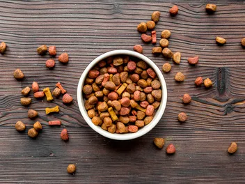 What Is Blood Meal in Dog Food? Vet-Verified Facts & FAQ