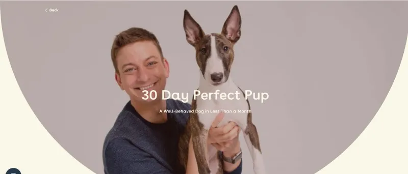 pupford academy 30 day perfect pup training course