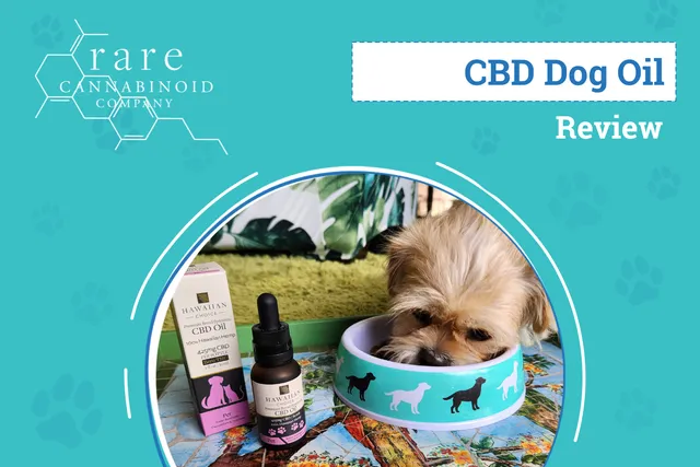 Rare Cannabinoid Company Hawaiian Choice Pet CBD Review 2026: An Expert's Breakdown