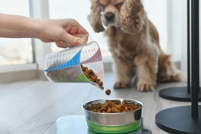 How Much Does a Cup of Dog Food Weigh? Vet-Approved Guide