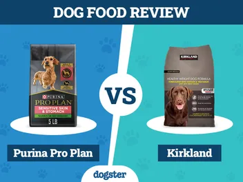 Purina Pro Plan vs. Kirkland Dog Food: Pros, Cons & What to Choose