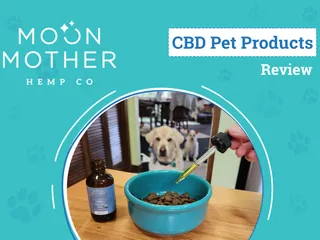 Moon Mother CBD Review 2026: Quality CBD Products for Pets and People