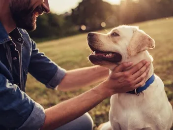 Vet-Approved Dog Safety Tips: How to Keep Your Pup Safe!