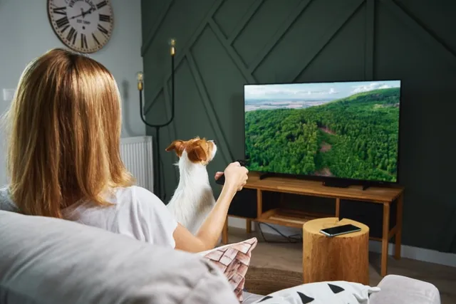Do Dogs Like to Watch TV? Vet-Approved Facts & FAQ
