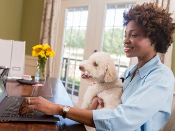 National Dogs in Politics Day 2026: When It Is & How to Celebrate