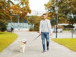10 Most Dog-Friendly Cities in the U.S. (2026 Guide)