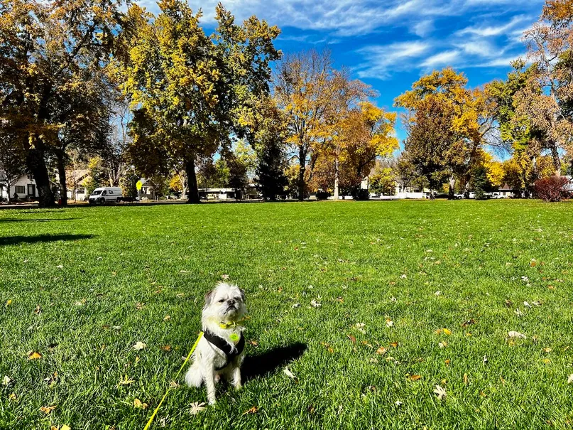 Neighborhood park? Nah