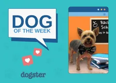 nov 13 featured image