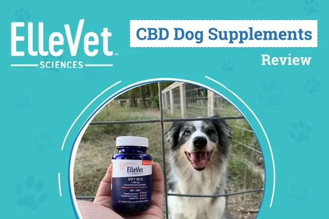 ElleVet CBD Products Review 2026: An Expert's Breakdown