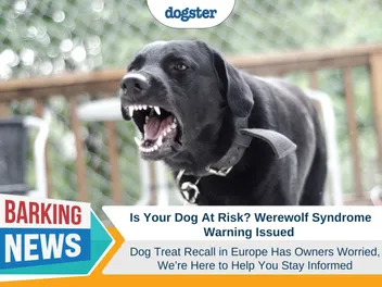 Is Your Dog At Risk? Werewolf Syndrome Warning Issued After Treat Recall in Europe