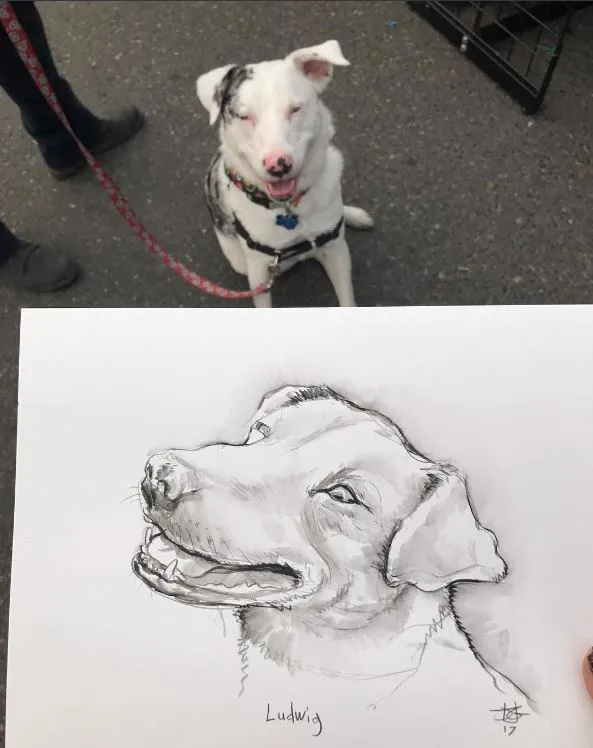 Dogtoberfest