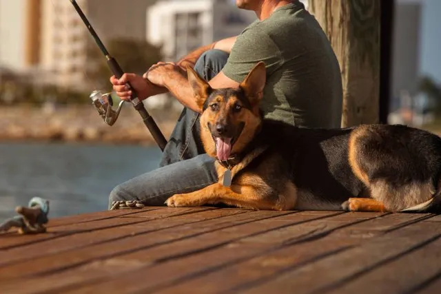 How to Go Fishing With Your Dog: Vet-Approved Safety Precautions & Etiquette