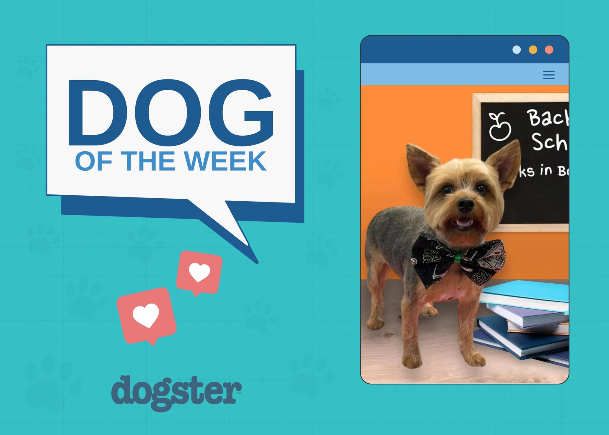 nov 13 featured image