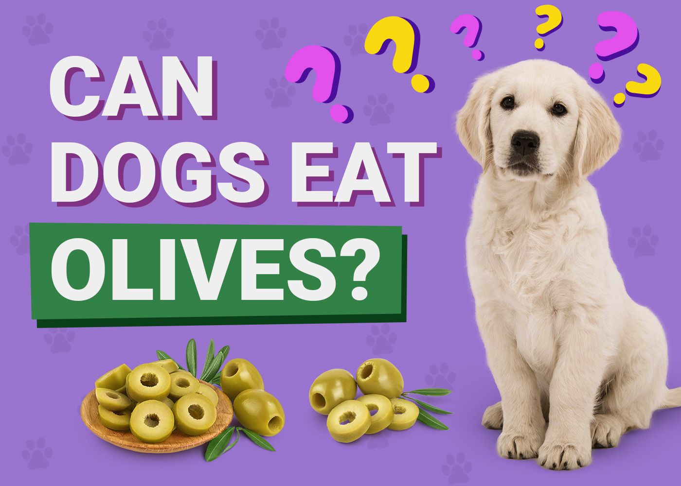 Can Dogs Eat Olives? Vet-Approved Nutrition Facts & FAQ
