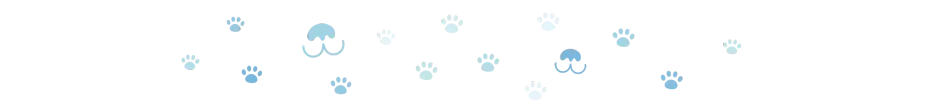divider dog paws 4 oct 2024