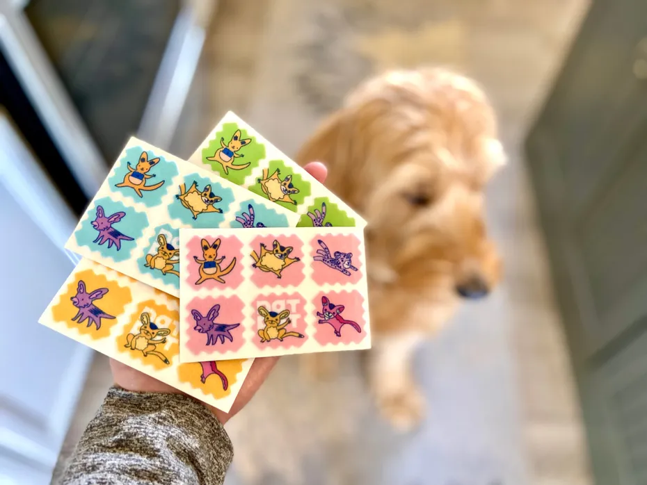 NATPAT Pet Patches - holding sticker sheets