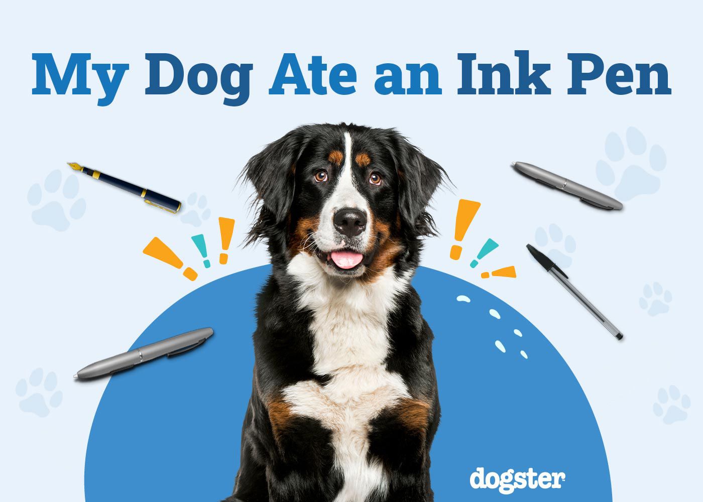My Dog Ate an Ink Pen