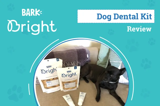 BARK Bright Dental Kit for Dogs Review 2026: An Expert's Breakdown