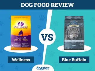 Wellness Dog Food vs Blue Buffalo: Pros, Cons & What to Choose