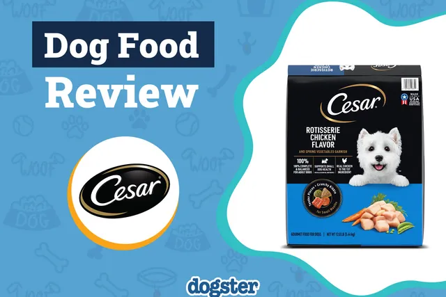 Cesar Dog Food Review 2026: Pros, Cons, Recalls and Guide