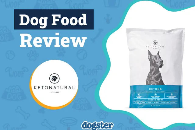 KetoNatural Dog Food Review 2026: Our Expert’s Opinion