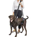 PetSafe CareLift Support Harness