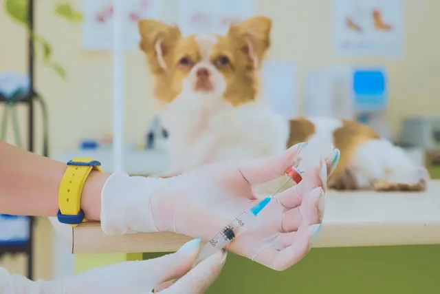 EXCLUSIVE EXPOSÉ: New Treatment for Canine Allergic and Atopic Dermatitis - But Who Really Benefits?
