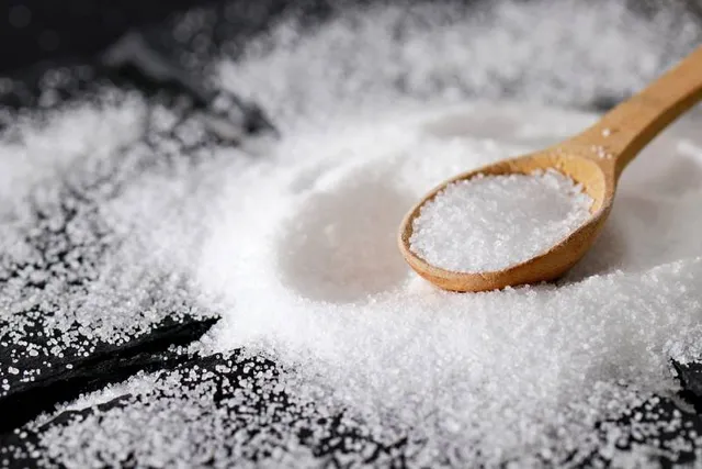 Will Salt Kill Fleas? Our Vet Answers