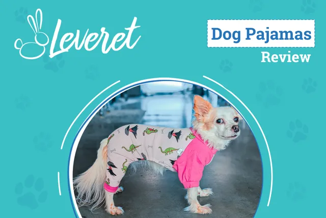 Leveret Dog Pink Dinosaur Pajamas Review 2026: A Prehistoric Bedtime Fashion Icon